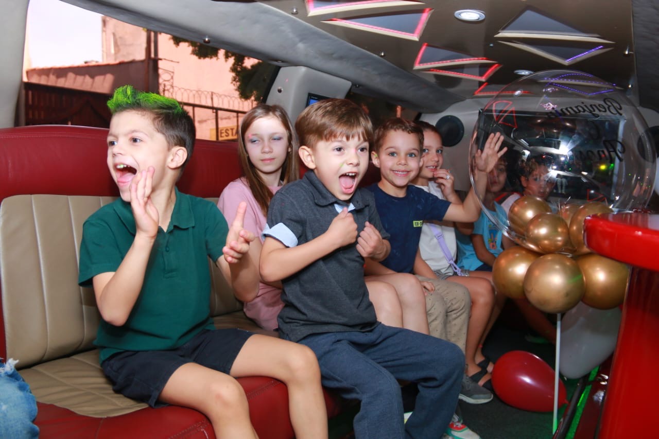Limousine Branca 03